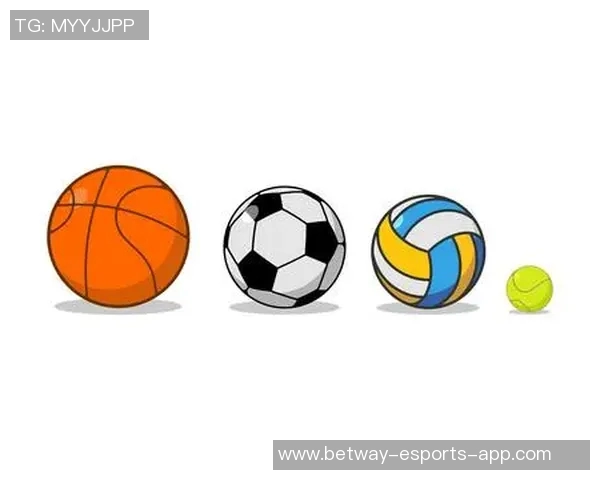 排球与足球各自球星数量盘点与比较分析