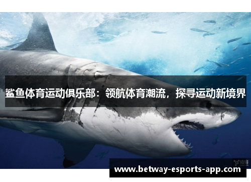 鲨鱼体育运动俱乐部：领航体育潮流，探寻运动新境界