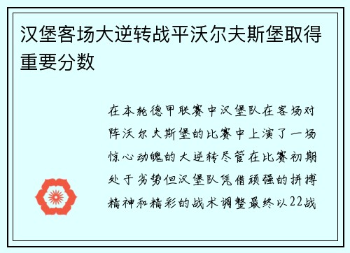 汉堡客场大逆转战平沃尔夫斯堡取得重要分数